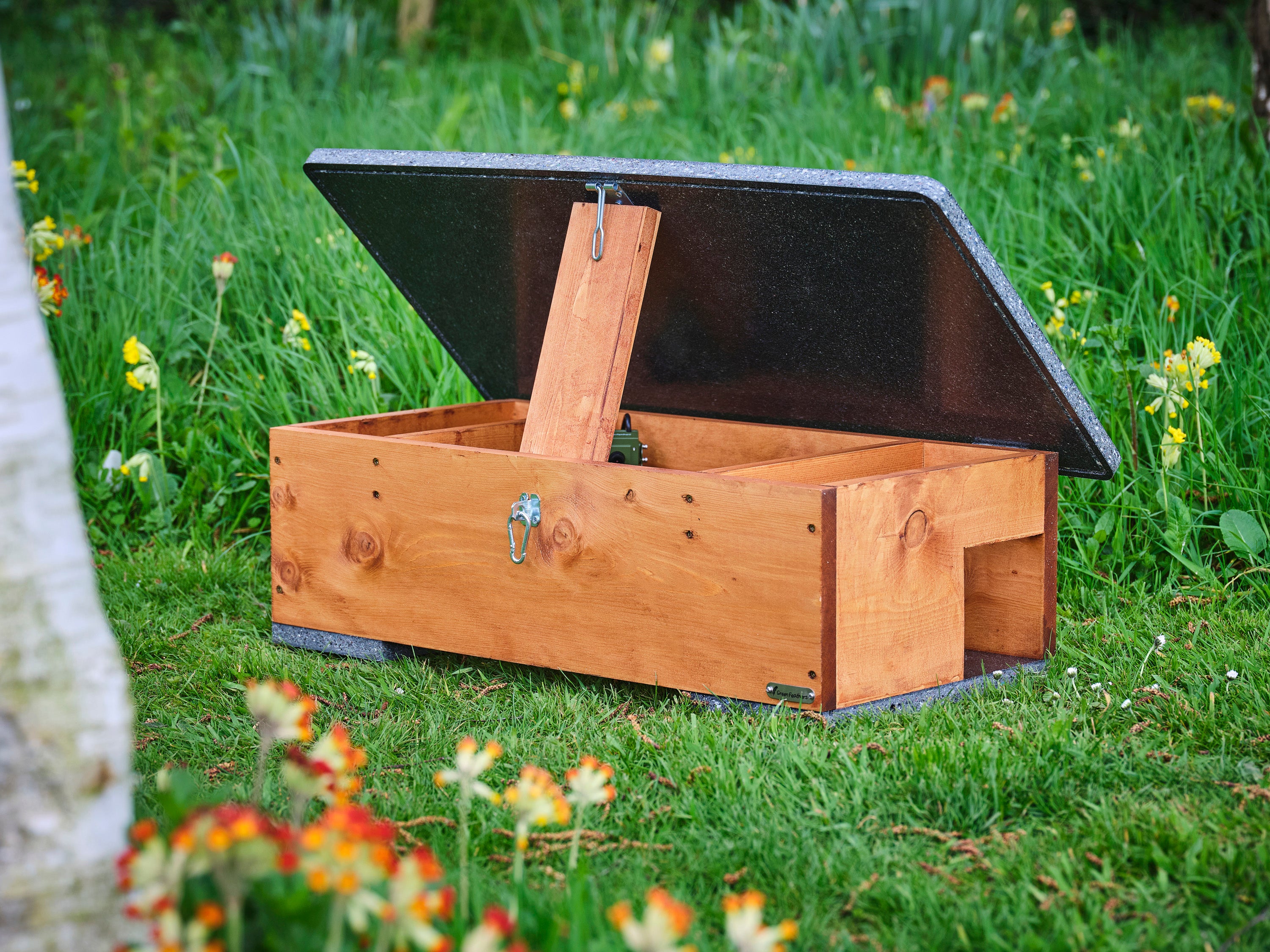 How to care for hedgehogs in your garden this Autumn – Green Feathers
