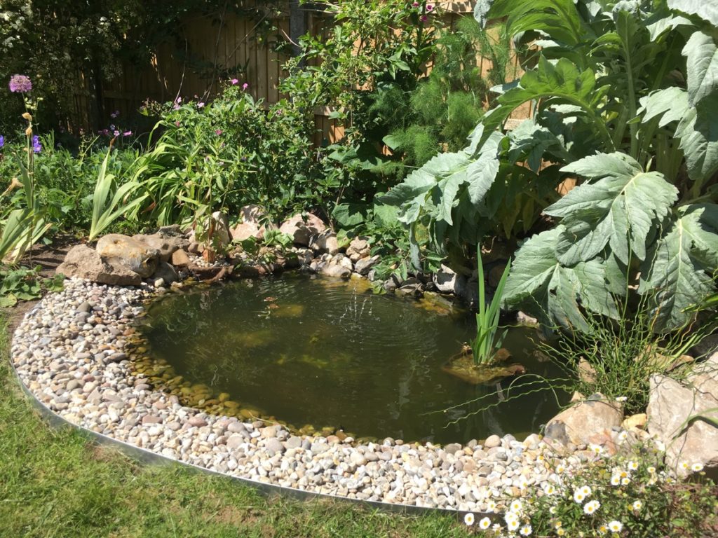 How to Clean a Garden Pond Properly: Step-by-Step Guide for a Healthy Water Feature