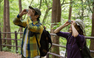 The Benefits of Birdwatching