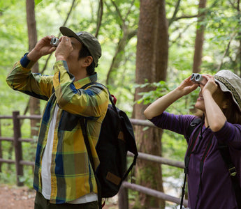 The Benefits of Birdwatching