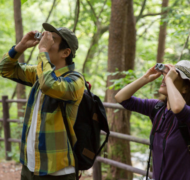 The Benefits of Birdwatching