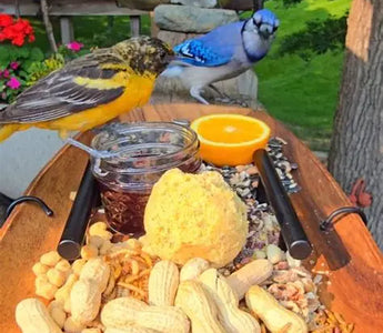 From TikTok to your garden: The ‘Chirp-cuterie’ boards birds will love