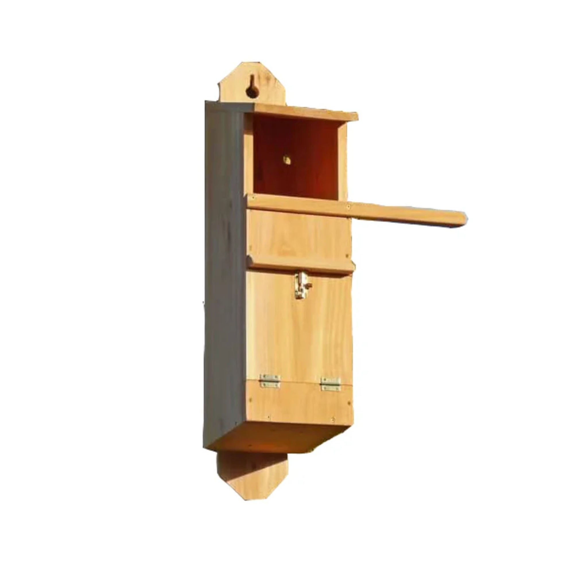 Tawny Owl Box – Green Feathers