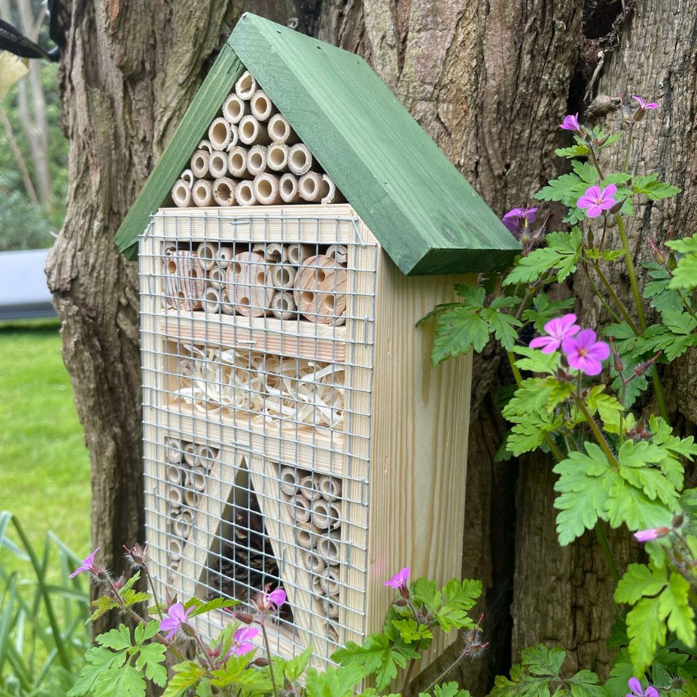 Green Feathers Bug Hotel