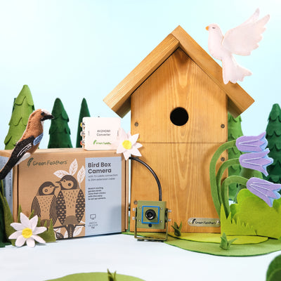 Cable Connection Bird Box Camera Starter Pack