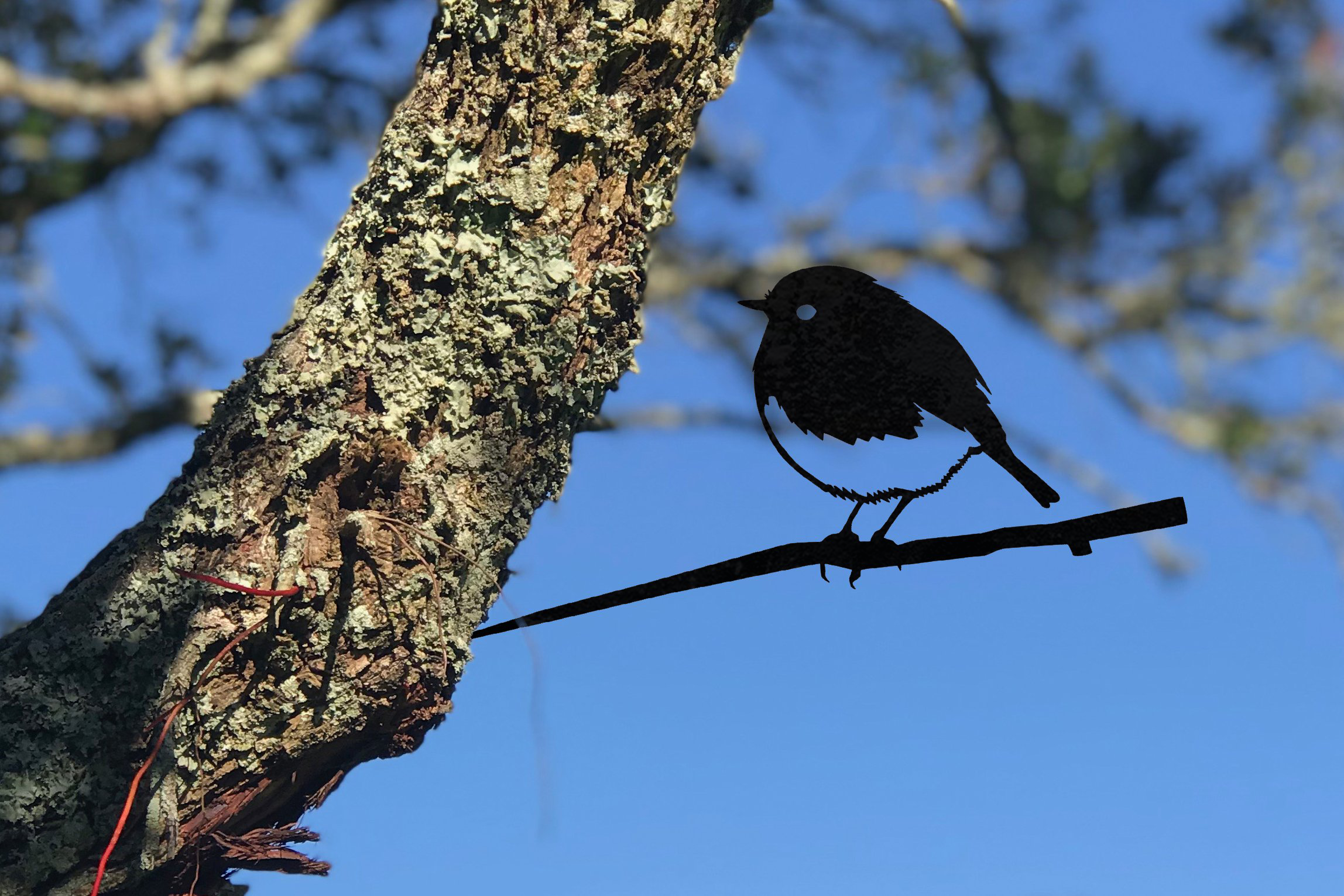 MetalBird Robin Outdoor Art