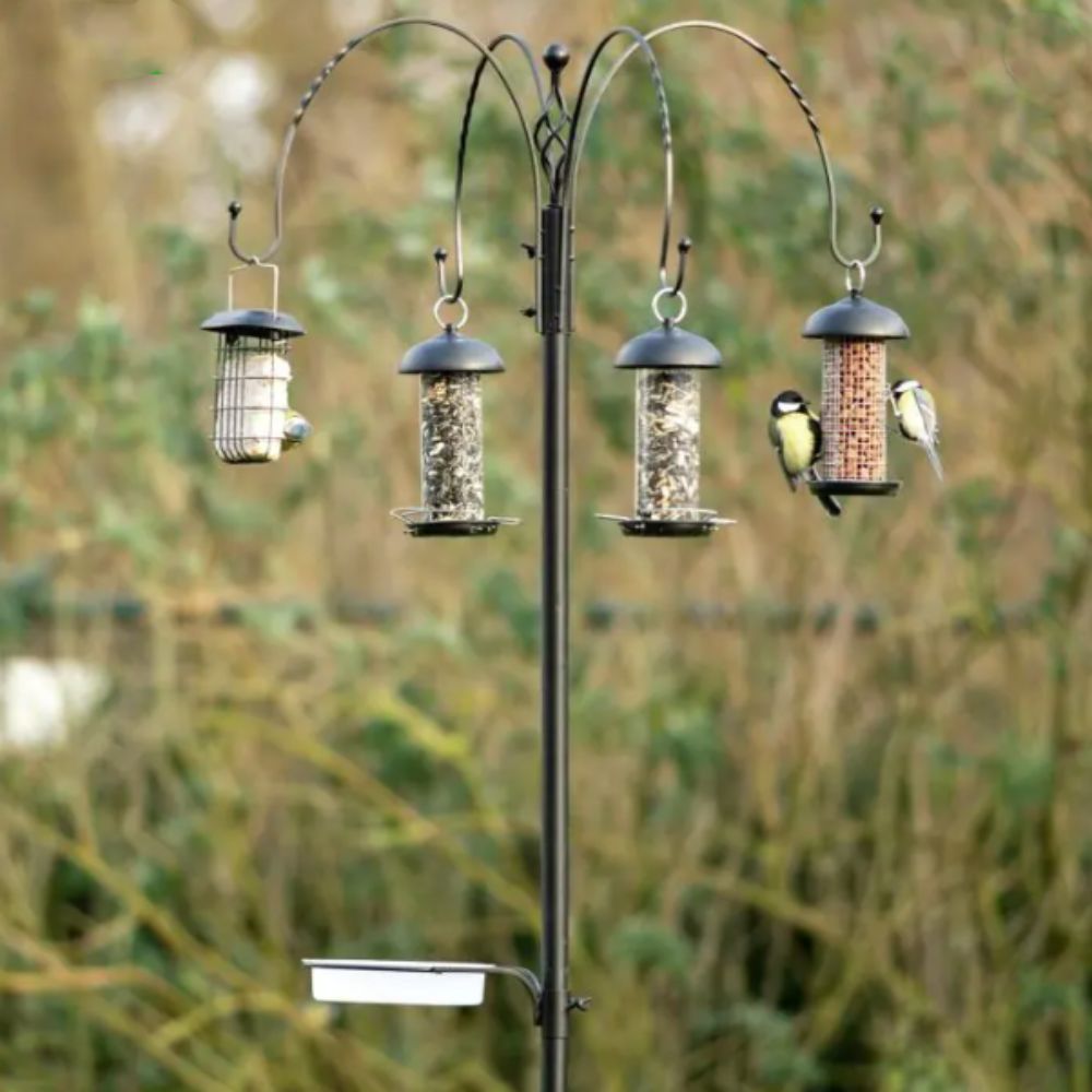 Tambora Bird Feeding Station (Includes Feeders, Water Dish & Feeding Dish)