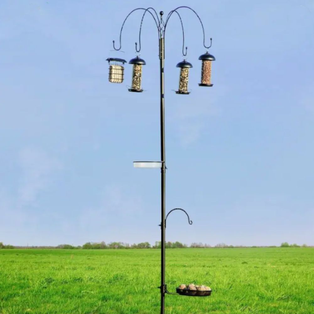 Tambora Bird Feeding Station (Includes Feeders, Water Dish & Feeding Dish)