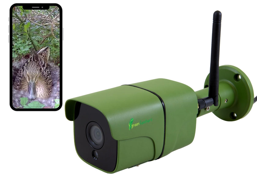 wireless wildlife observation camera