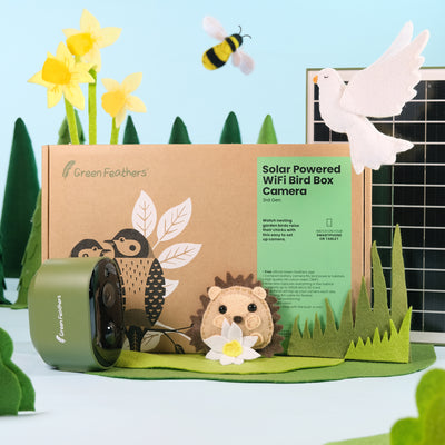 Solar Powered WiFi Bird Box & Wildlife HD Camera