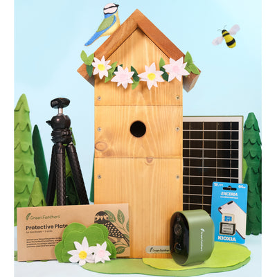 Solar Powered WiFi Bird Box HD Camera Complete Pack