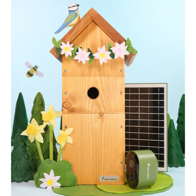 Solar Powered WiFi Bird Box HD Camera Starter Pack