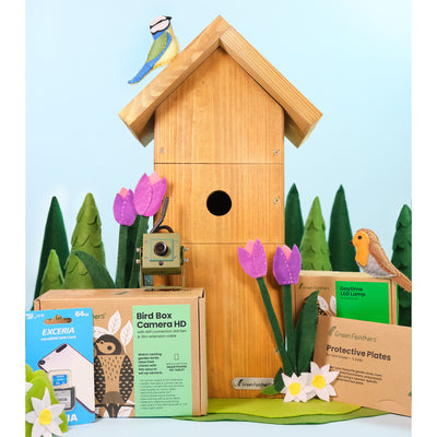WiFi Bird Box HD Camera Complete Pack