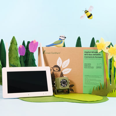 Wireless Bird Box Camera & Screen Pack