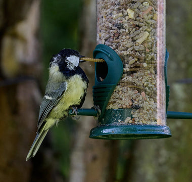 18 must-have wildlife camera accessories