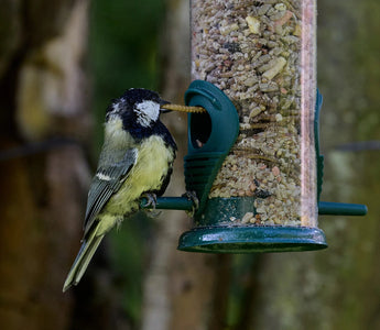 18 must-have wildlife camera accessories