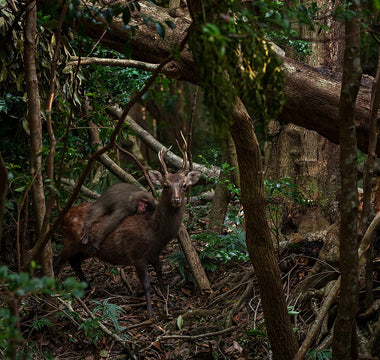 Wildlife Photographer of the Year 2023: Our Favourites