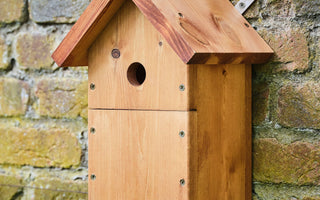 How to prepare your bird box for nesting season
