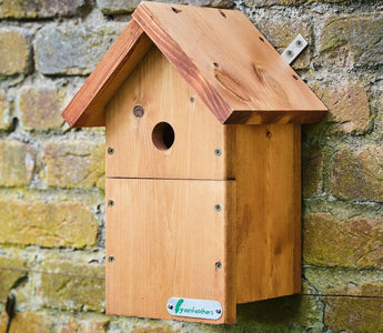 How to prepare your bird box for nesting season