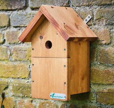 How to prepare your bird box for nesting season