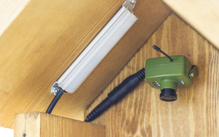 How to Install a Bird Box Camera