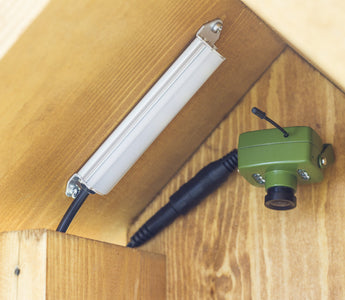 How to Install a Bird Box Camera