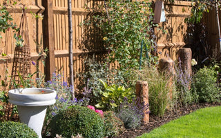 How to create a wildlife-friendly garden