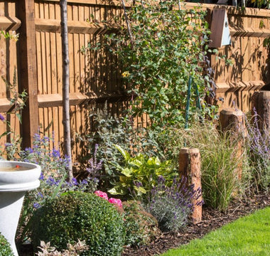 How to create a wildlife-friendly garden