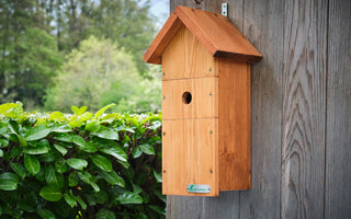 National Nestbox Week 2024