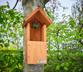 World Wildlife Day 2024