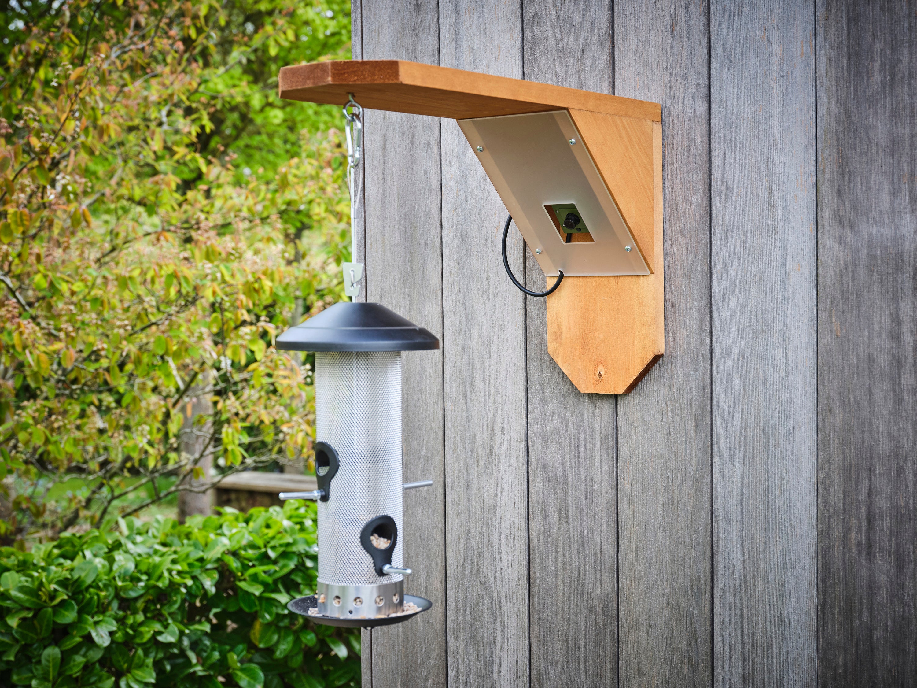 How to make an eco-friendly bird feeder | Green Feathers