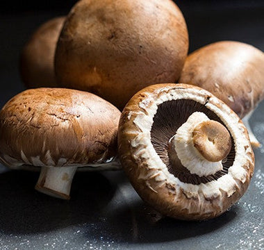 Which wild mushrooms are safe to eat in the UK?