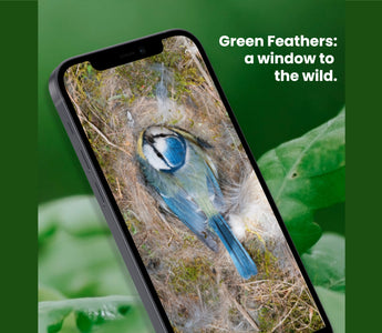 Our New & Improved App