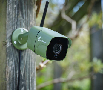 Everything you need to know about wildlife cameras