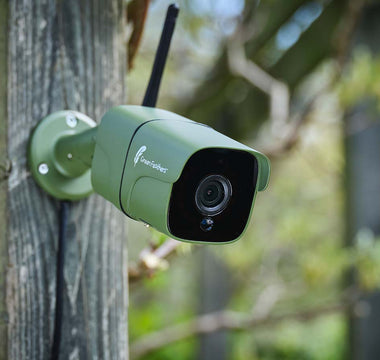 Everything you need to know about wildlife cameras