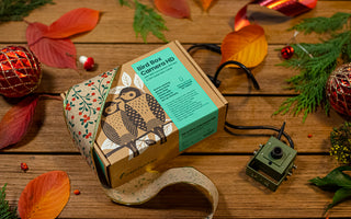 Christmas Delivery Dates