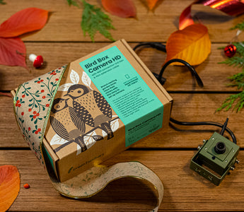 Christmas Delivery Dates