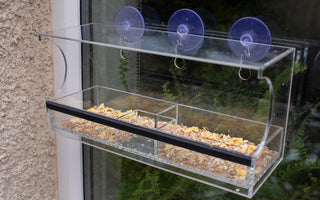 Setting Up a Window Bird Feeder Camera