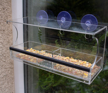 Setting Up a Window Bird Feeder Camera