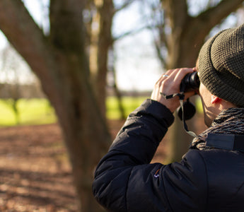 How to get involved in The Big Garden Birdwatch 2026