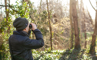 How to get started with bird watching