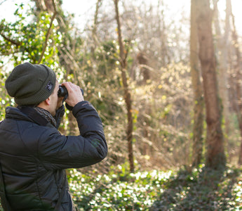 How to get started with bird watching