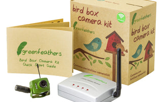 Introducing Green Feathers Bird Box Cameras