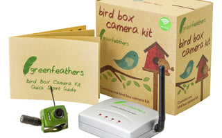 Introducing Green Feathers Bird Box Cameras