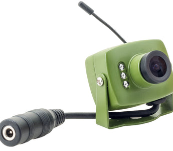 Get Closer to Nature with a Bird Box Camera