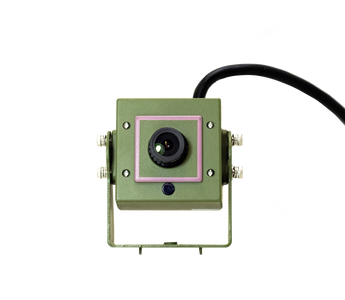 Green Feathers Featured in Evening Standard!