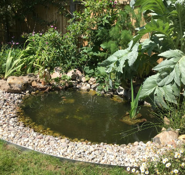 How to build a garden pond