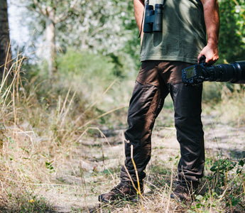 A beginner’s guide to birdwatching from your garden