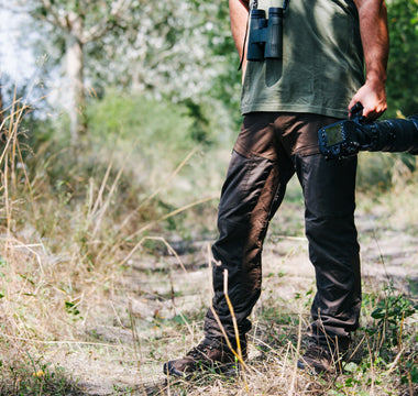 A beginner’s guide to birdwatching from your garden
