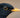 Bird of the Month – Blackbird